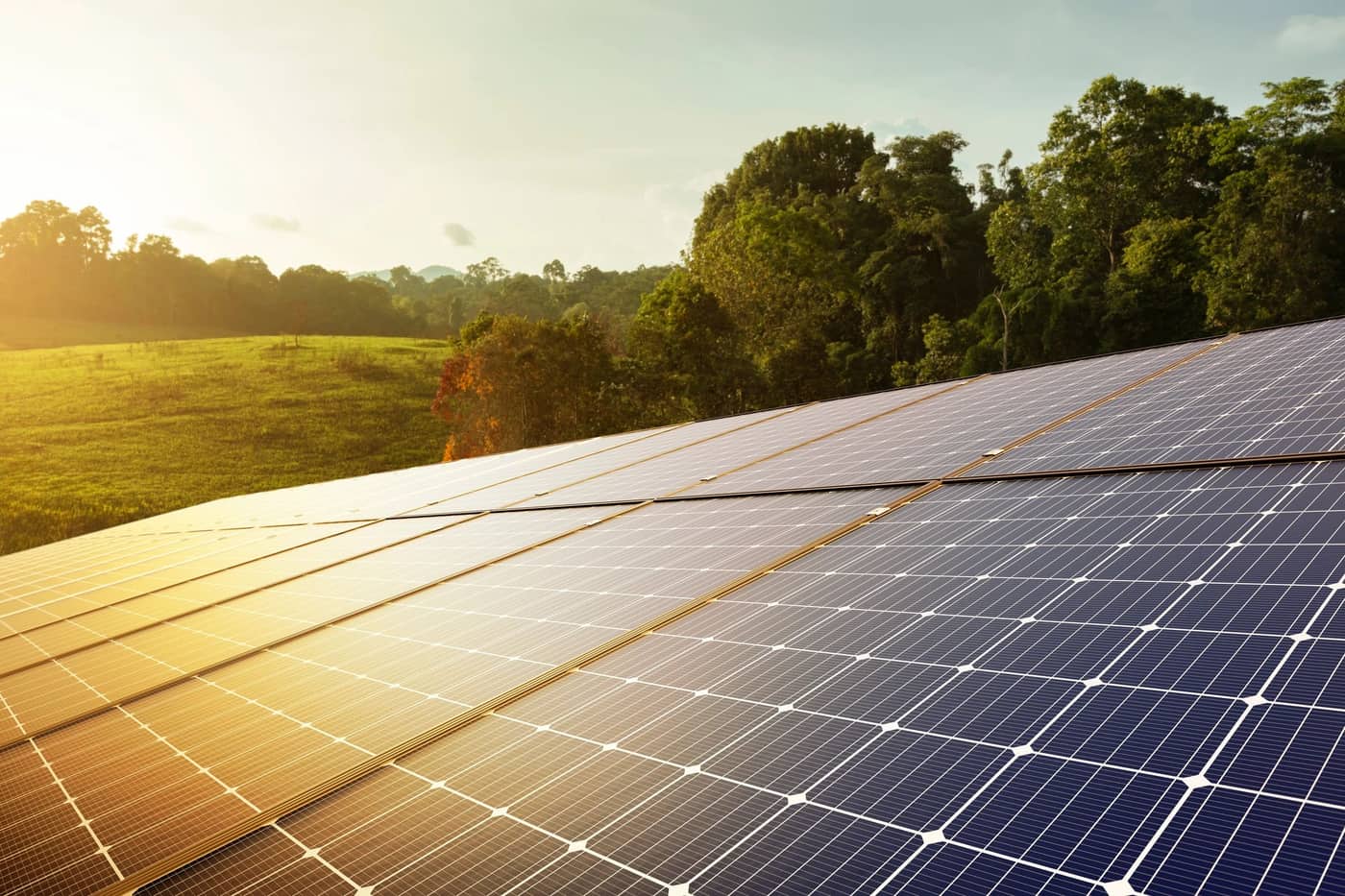 Solar array at sunrise in a green landscape